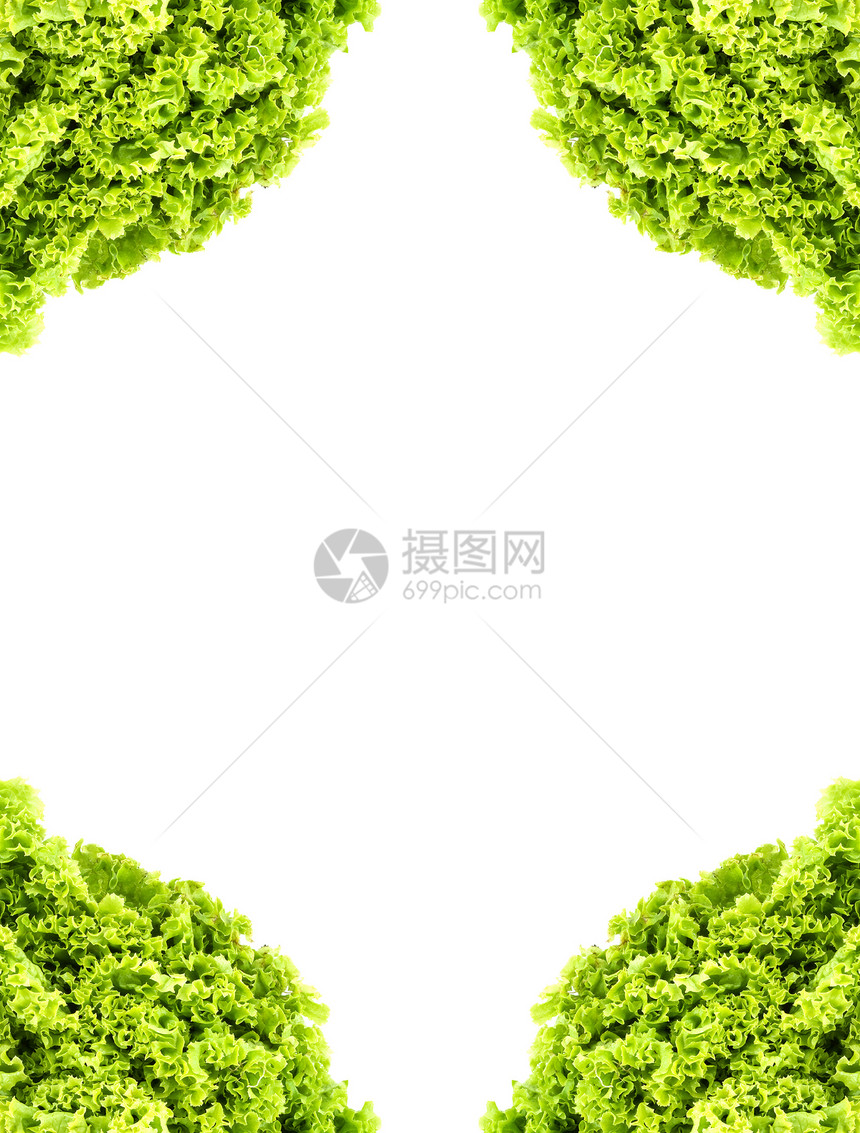绿色黄油生菜莴苣叶子工作室饮食蔬菜沙拉长叶植物多叶杂货图片