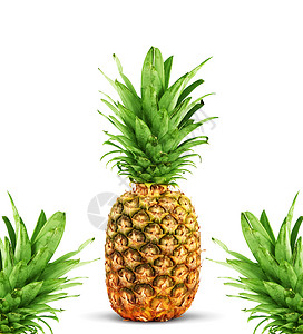 提取菠萝茶点美食绿色食物香味叶子水果热带植物果汁背景图片