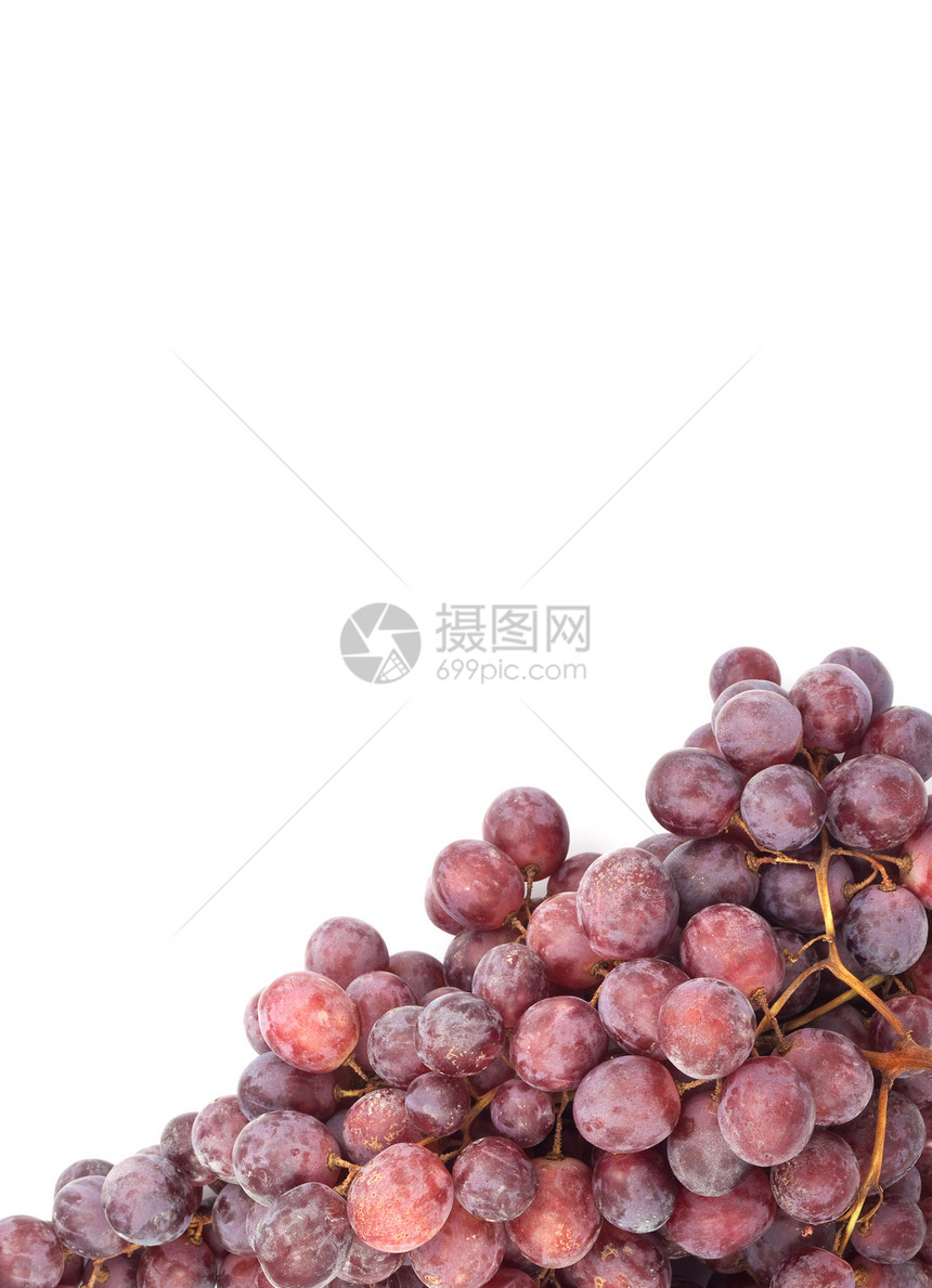 葡萄酒厂葡萄园食物小路茶点蓝色植物浆果美食水果图片