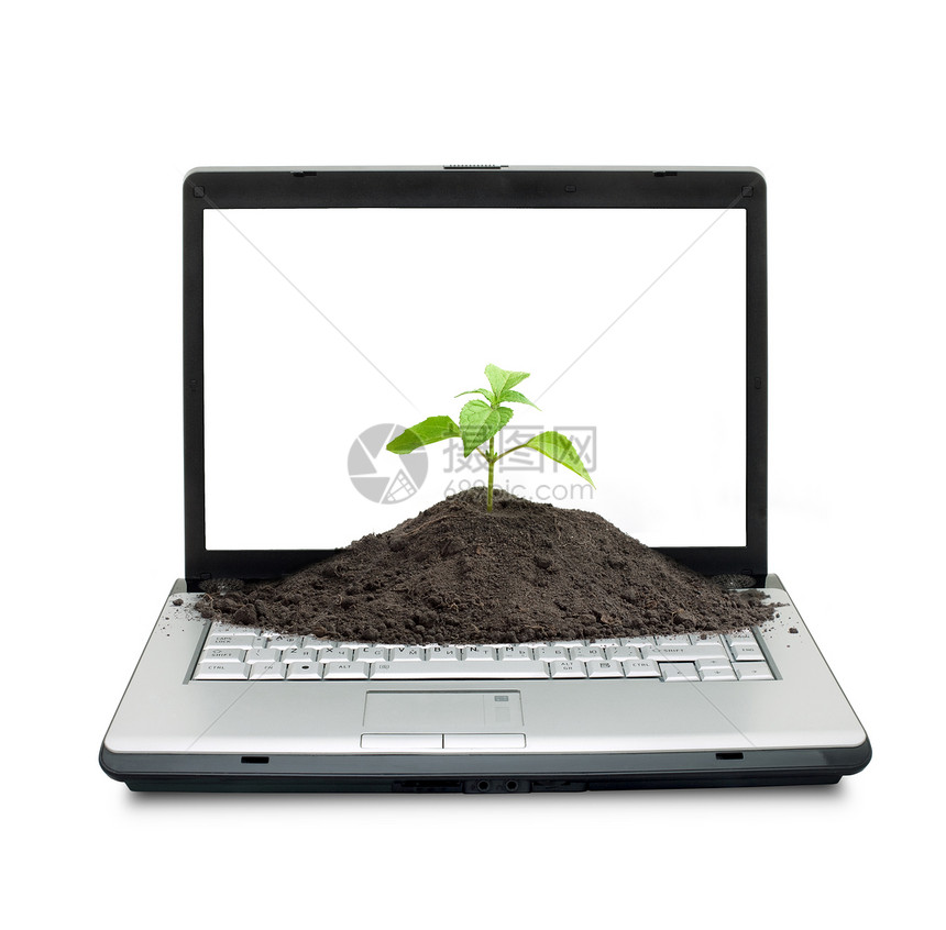 开放式笔记本电脑剪裁场地键盘草地草皮数字生态幼苗钥匙监视器图片