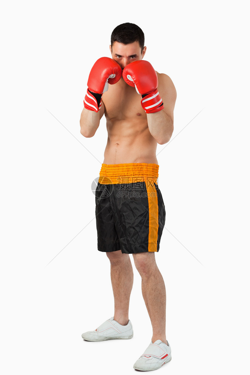 年轻拳击手掩护图片