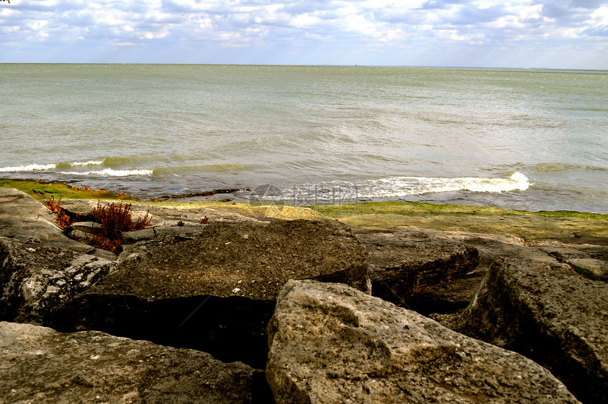 岩石和水背景绿色银行波浪叶子湖岸海浪树叶苔藓图片