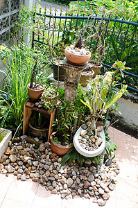 家居花园回收绿色卫生房子石头背景图片