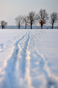 雪雪道滑雪白色轨道运动树木越野背景图片