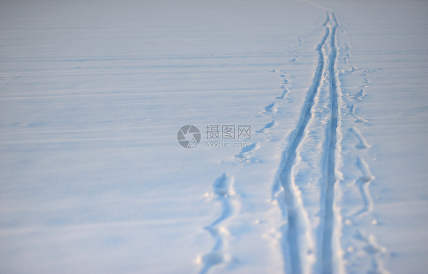 雪雪道轨道树木滑雪白色越野运动图片