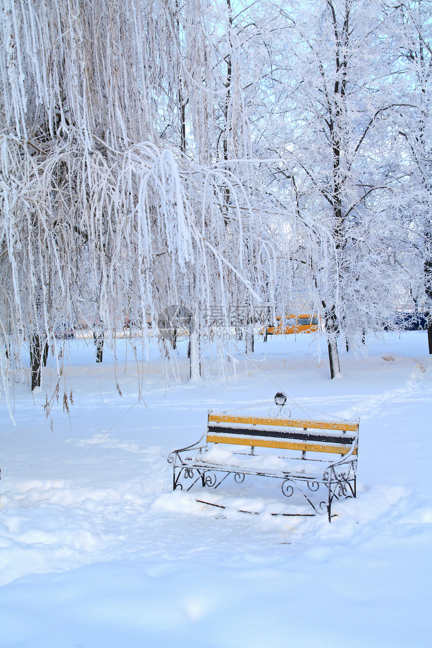 城镇公园中的木板凳滑雪紫色桌子树木人行道风景地平线街道寂寞打印图片