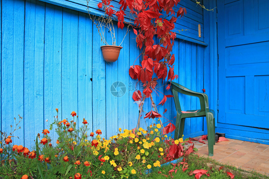 农村建筑墙上的红色红页椅子住宅人行道农场鲜花财产城市草地文化木头图片
