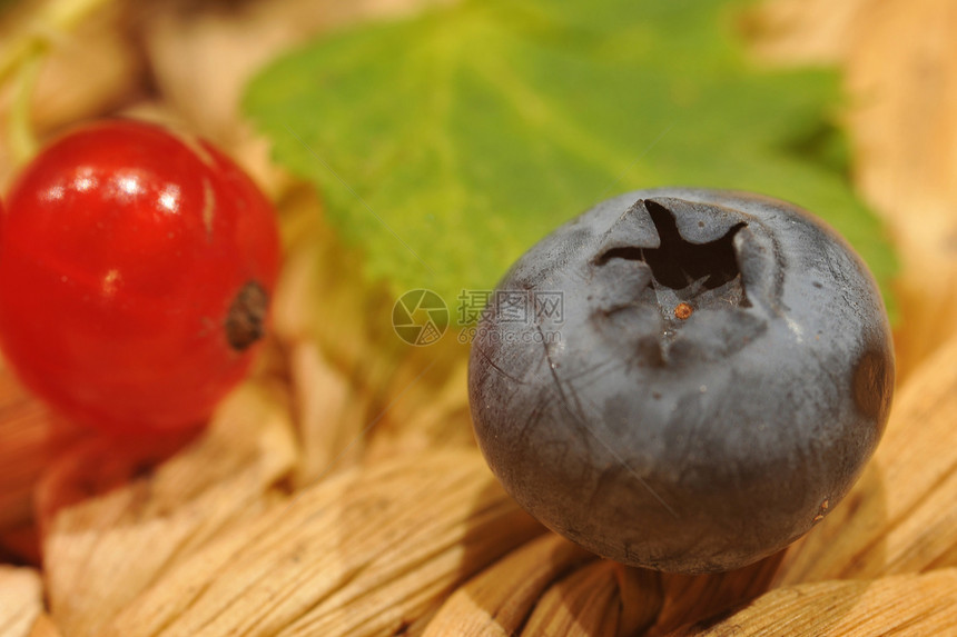 蓝莓和红豆结交植物养分美味覆盆子水果收成蓝色果味团体甜点图片