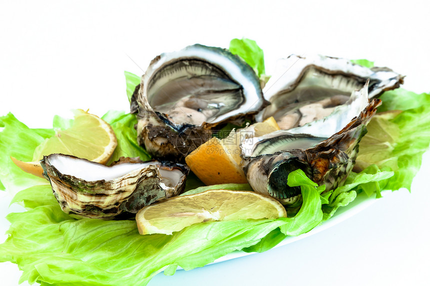 牡蛎贝类贝壳食物熟食美食海洋盘子柠檬海鲜午餐图片