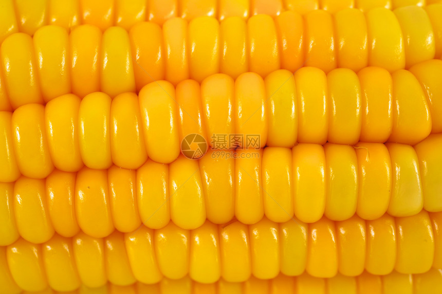 玉米黄色食物庄稼健康饮食棒子蔬菜图片