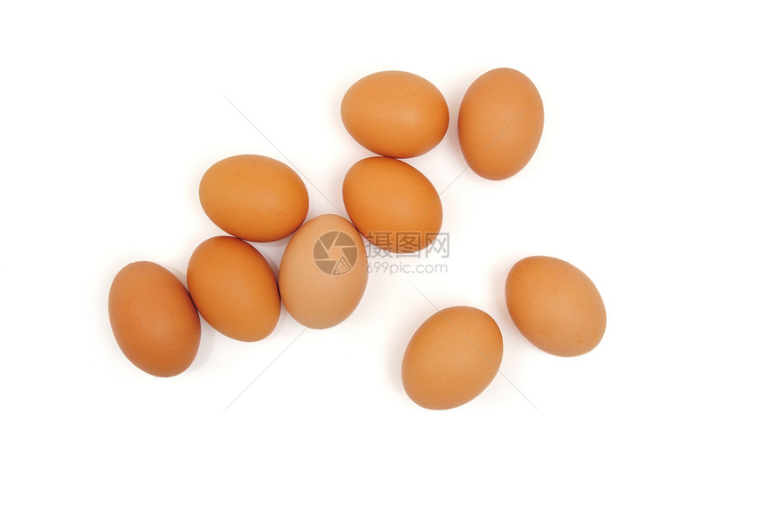 蛋食物鸡蛋动物图片