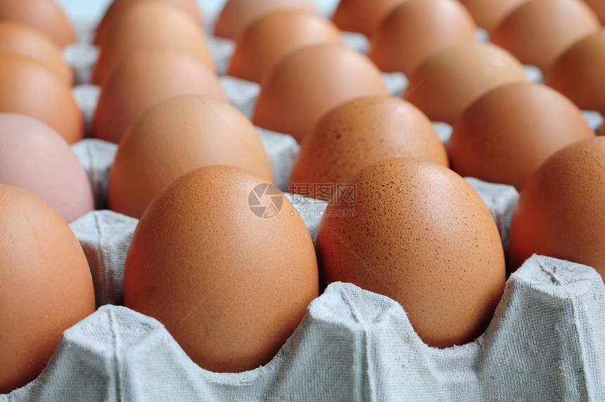 卡顿的鸡蛋蛋盒纸盒安全乳制品食品食物健康饮食图片