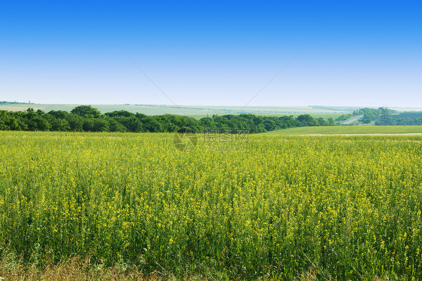 美丽的风景天气天空太阳农场季节蓝色场地地平线草原远景图片