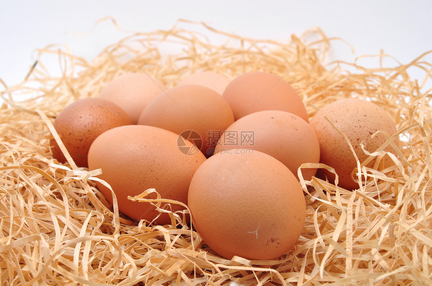蛋乳制品食物棕色图片