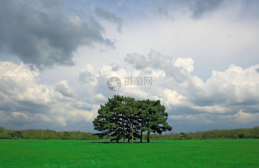 中部有树木的美丽田地地形风景生长草地木头场地晴天环境远景国家图片