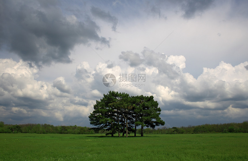 中部有树木的美丽田地风景木头天气场景森林蓝色旅行环境远景场地图片