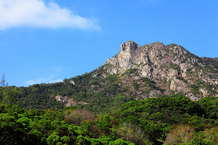 狮子摇滚头脑爬坡岩石蓝色城市地标绿色晴天白色天空背景图片