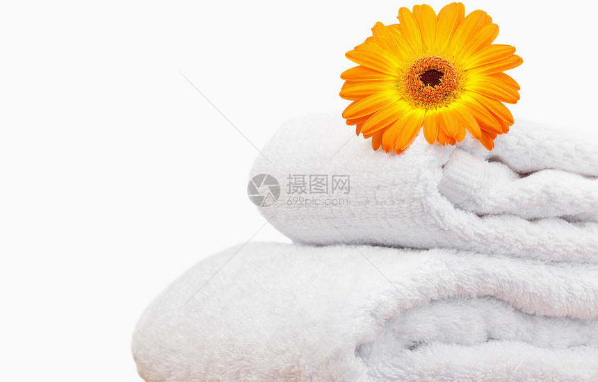 白色毛巾上的向日葵贴近图片