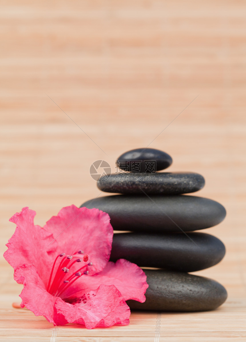 粉红兰花旁边的黑石头堆图片
