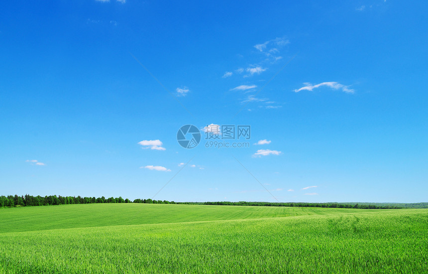 绿绿地阳光季节天空国家蓝色场地牧场远景场景草原图片