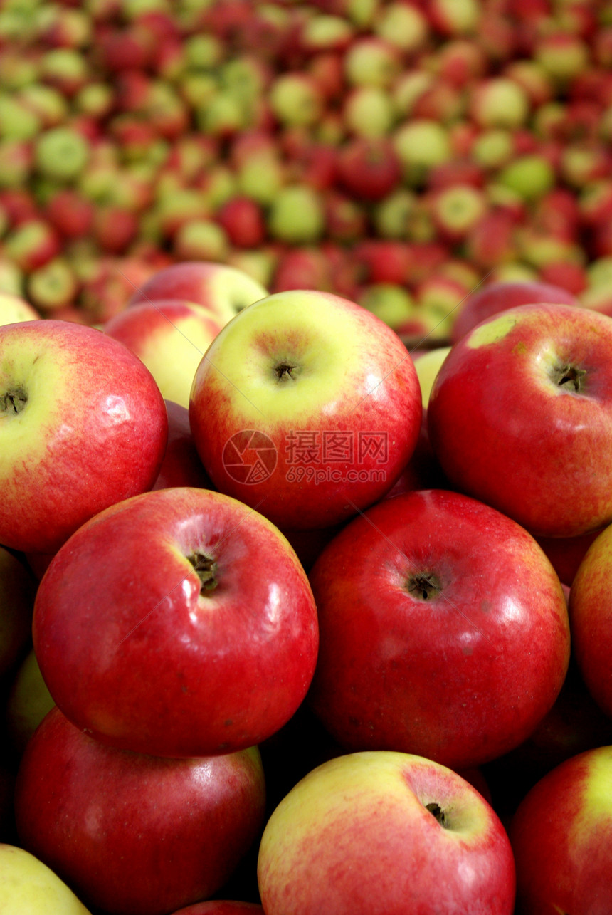 苹果健康营养矿物质饮食高山维生素农场植物群大卡花园图片