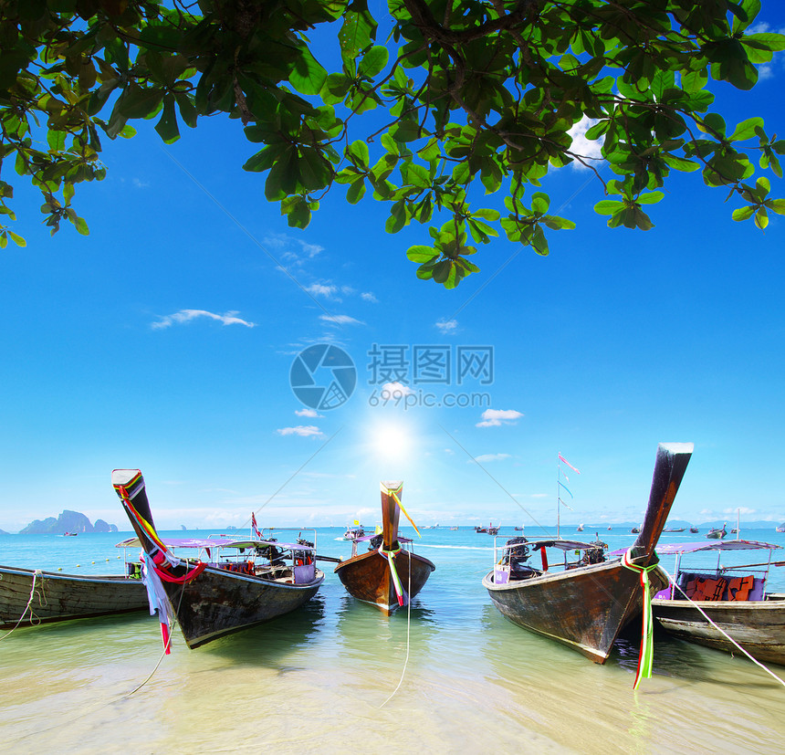 热带热带海滩血管珊瑚海岸尾巴假期旅游娱乐运输蓝色支撑图片