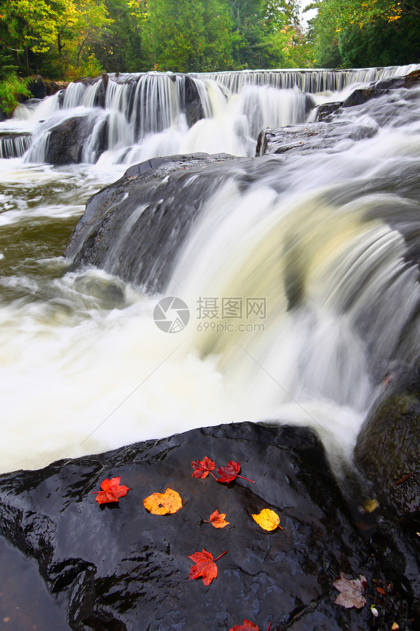 密歇根北部邦德瀑布生态场景半岛栖息地地形兴奋剂风景绿地叶子环境图片