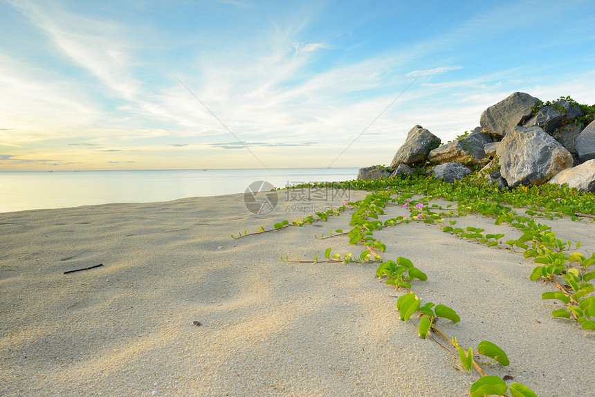 海滩的风景旅行海浪海洋海岸线海景海岸晴天假期蓝色白色图片