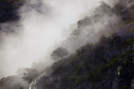 西班牙坎塔布里亚自然公园的雾高清图片