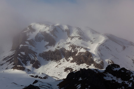 比利牛斯山犬多云的冬天高清图片