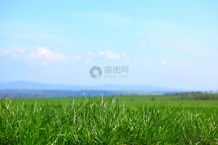 绿绿草草地地球植物牧场土地阳光季节太阳农场射线图片