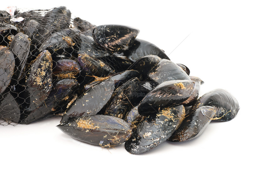 新鲜贝贝饮食营养海鲜蓝色美食白色静物食物黑色团体图片