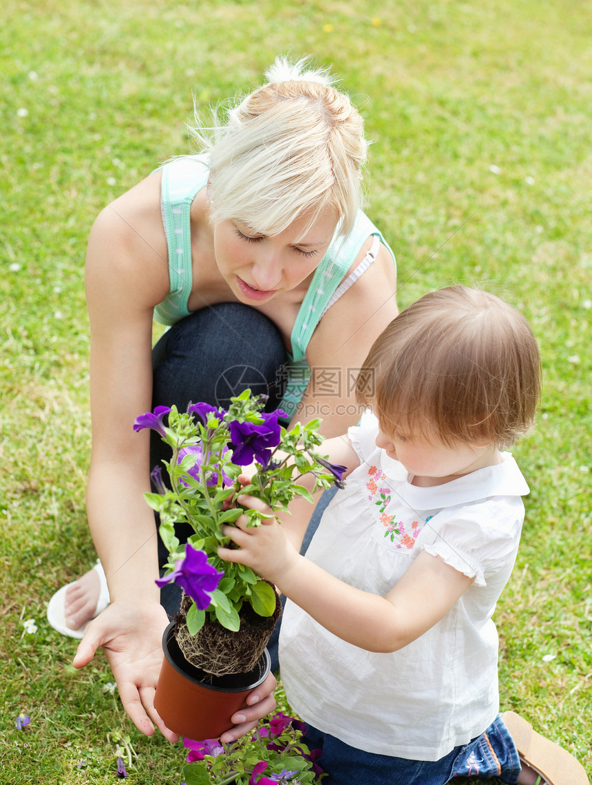 白种母亲给女儿看一朵紫花图片