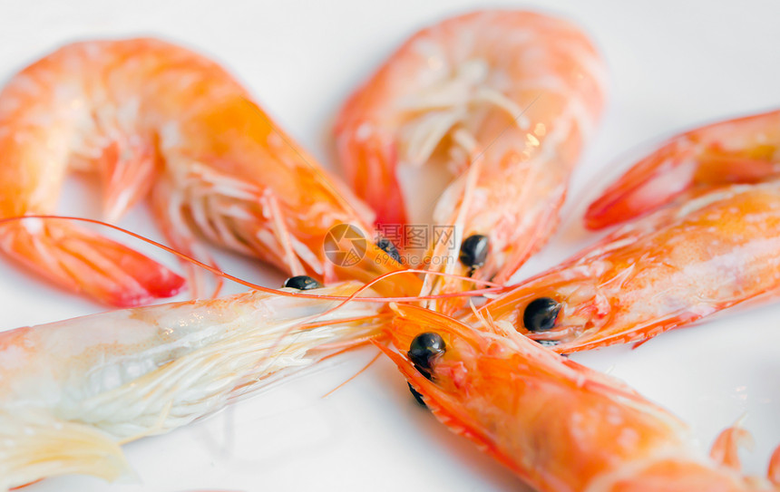 虾白色烹饪甲壳海鲜营养盘子动物小吃美食橙子图片
