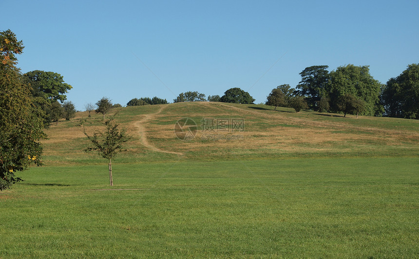 伦敦普里姆罗斯山植被天际王国树木公园草地绿色蓝色天空爬坡道图片