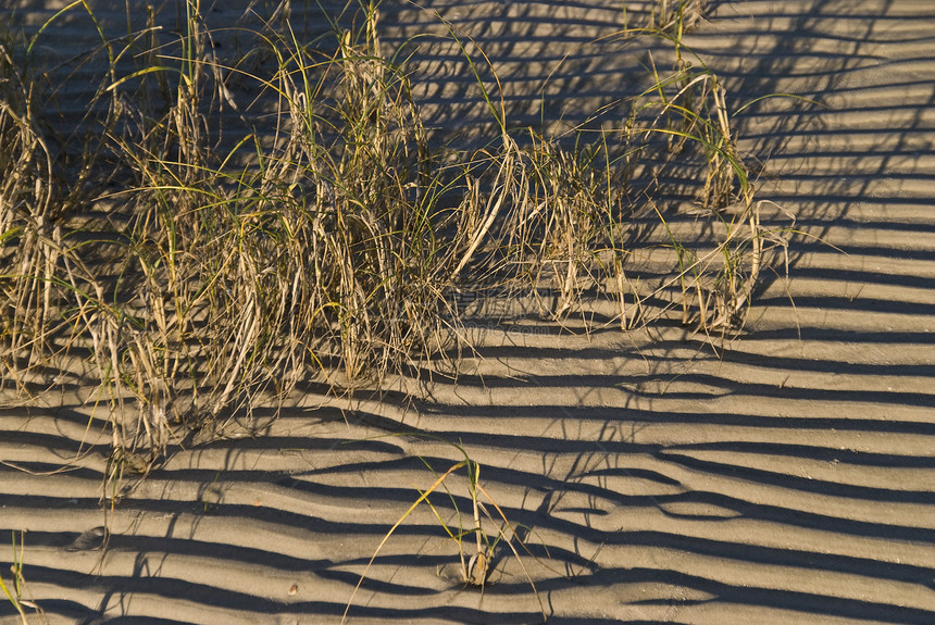 沙沙银行波纹泥滩环境晴天曲目海滩太阳图片