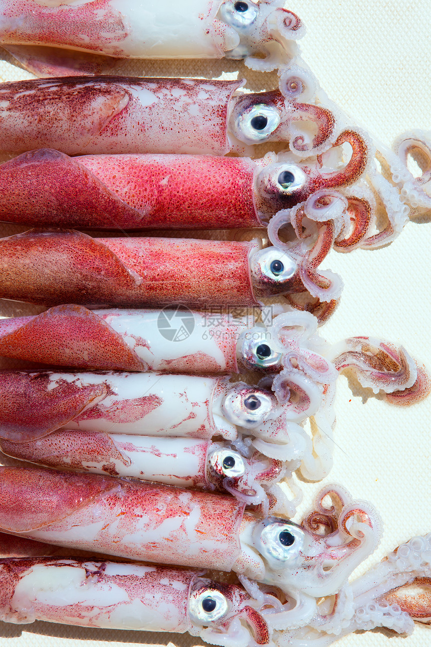 捕获后新鲜鱿鱼洛利戈粗俗烹饪甲板乌贼喷射头足类眼睛触手海鲜市场渔业图片