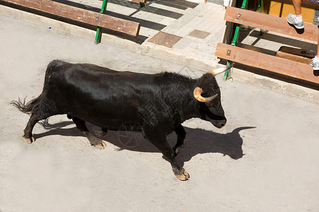冒险性在西班牙街头盛宴上骑公牛派对文化旅游风险传统街道热情危险狂言庆典背景