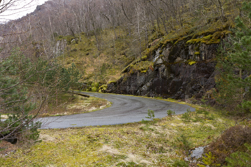 农村地貌的径长道路针叶树风景森林苔藓水平石头乡村图片