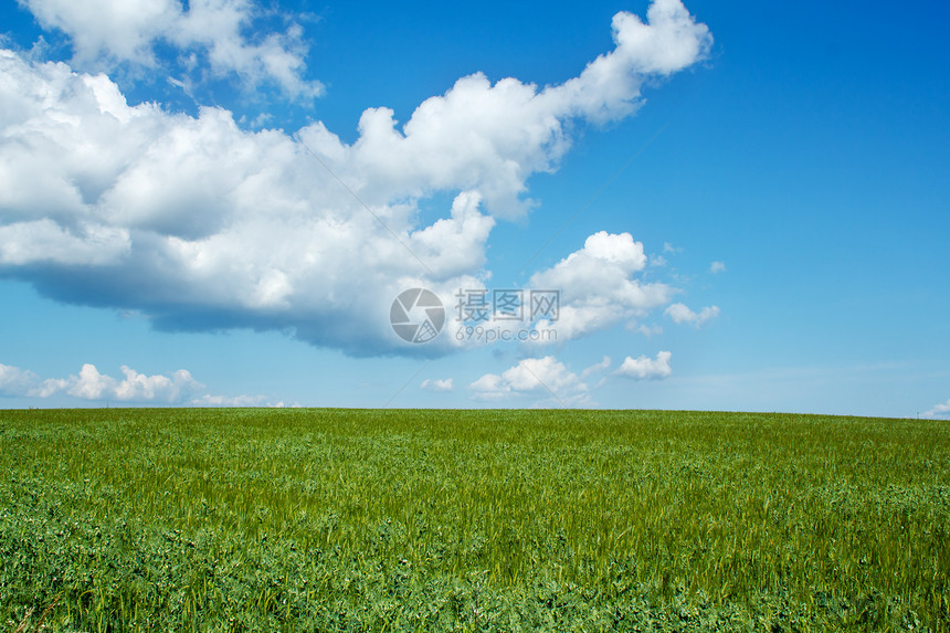 美丽的夏季乡村地貌森林农田树木草原风景植物土地草地天空环境图片