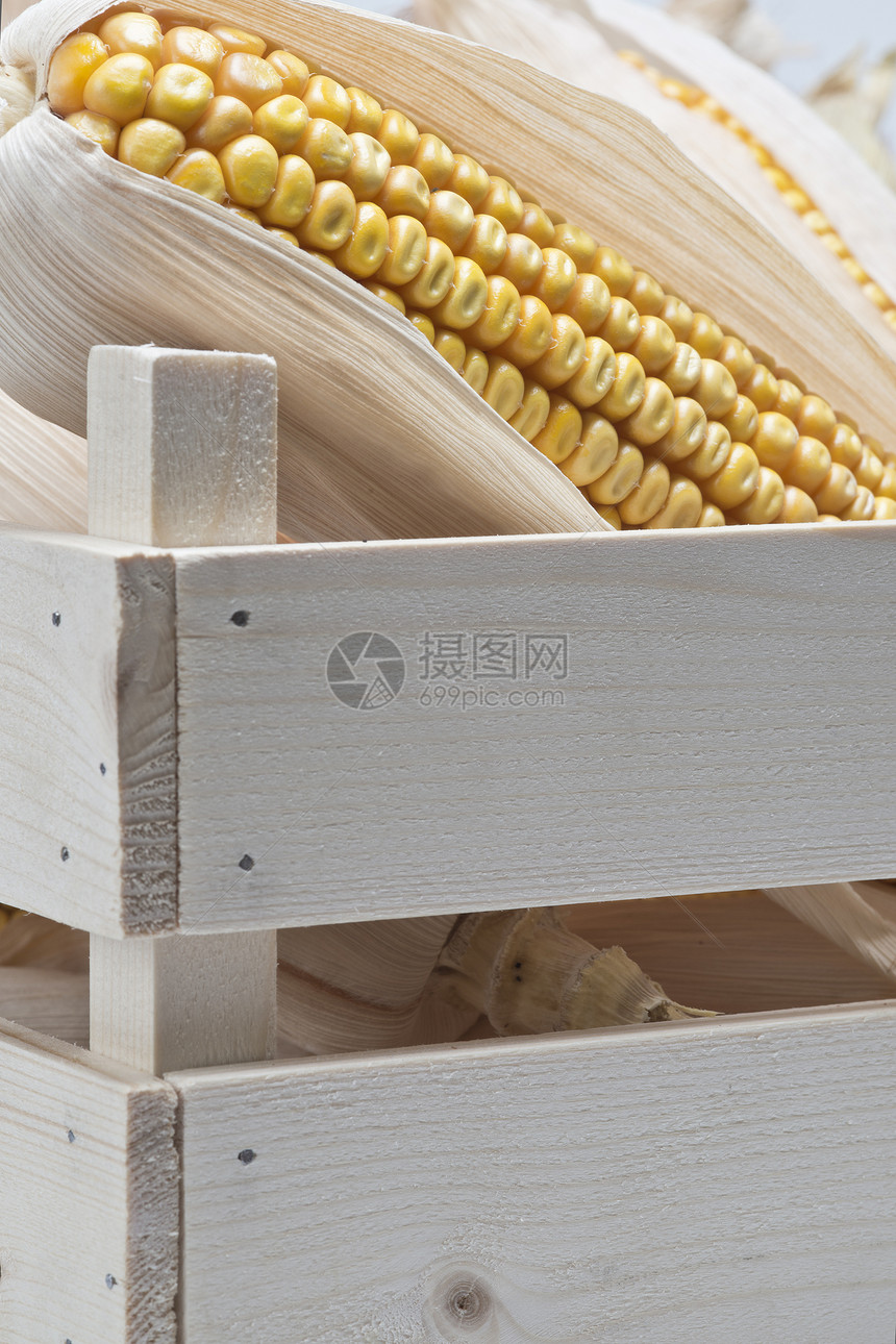带玉米耳朵的木箱棒子豆子家畜盒子基因玉米芯静物生物叶子爆米花图片