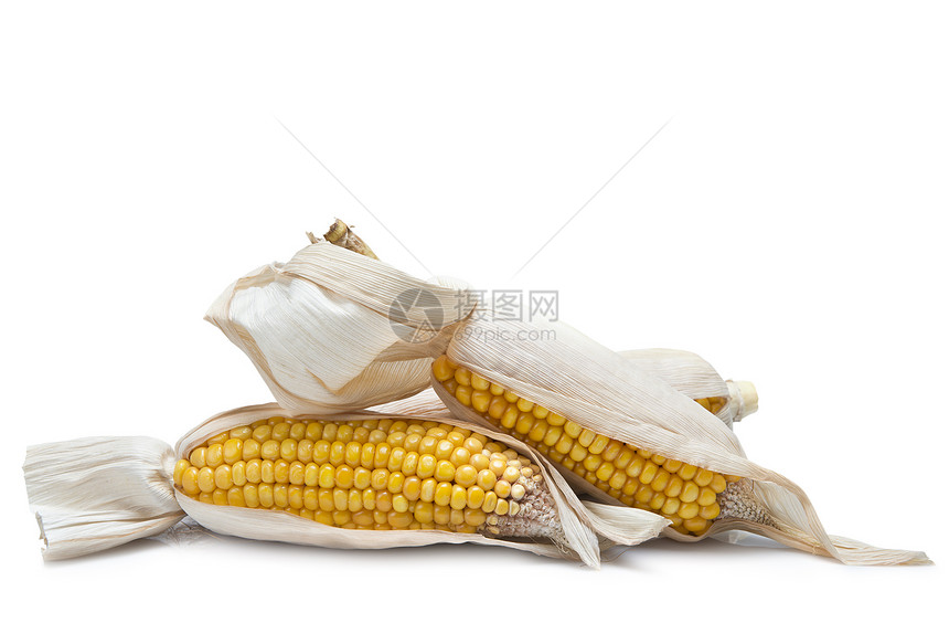 白种背景上的玉米耳朵果皮玉米芯改造棒子农业爆米花生物玉米片家畜豆子图片