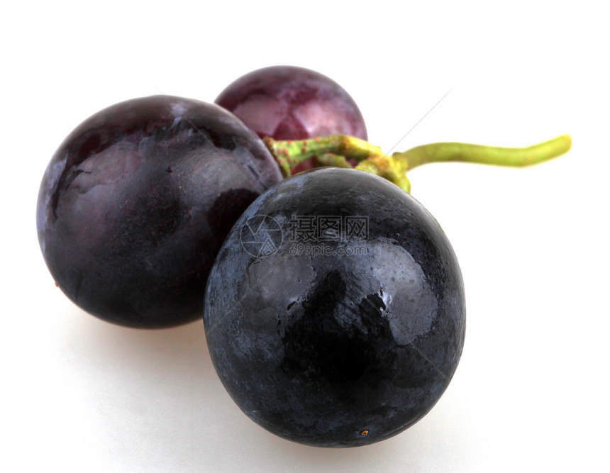 黑葡萄果味绿色卷须叶子蓝色眼泪食物浆果收成甜点图片