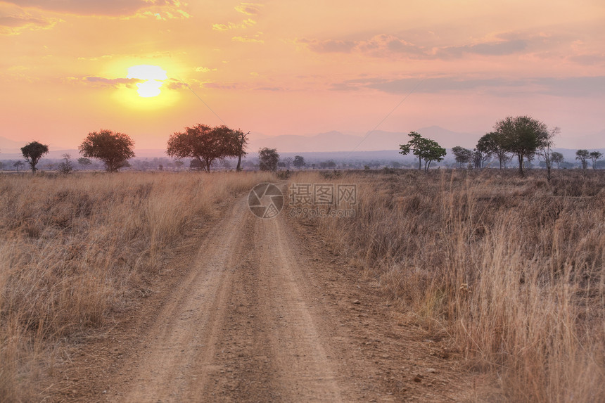 非洲热带非洲金子太阳日落橙子土地史诗灌木丛环境荒野天空图片