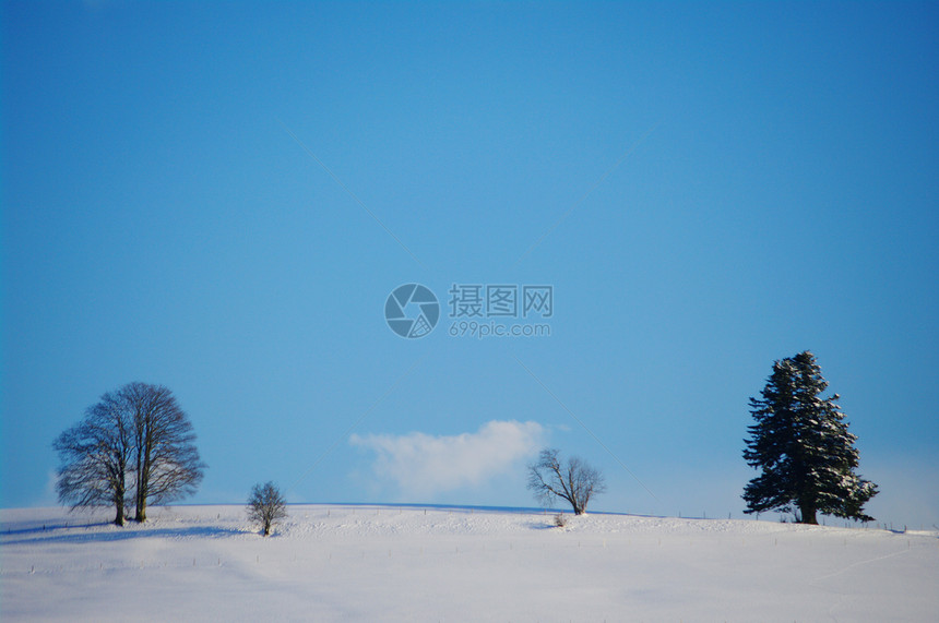 圣诞节森林季节性季节蓝色天气天空风景小路白色图片