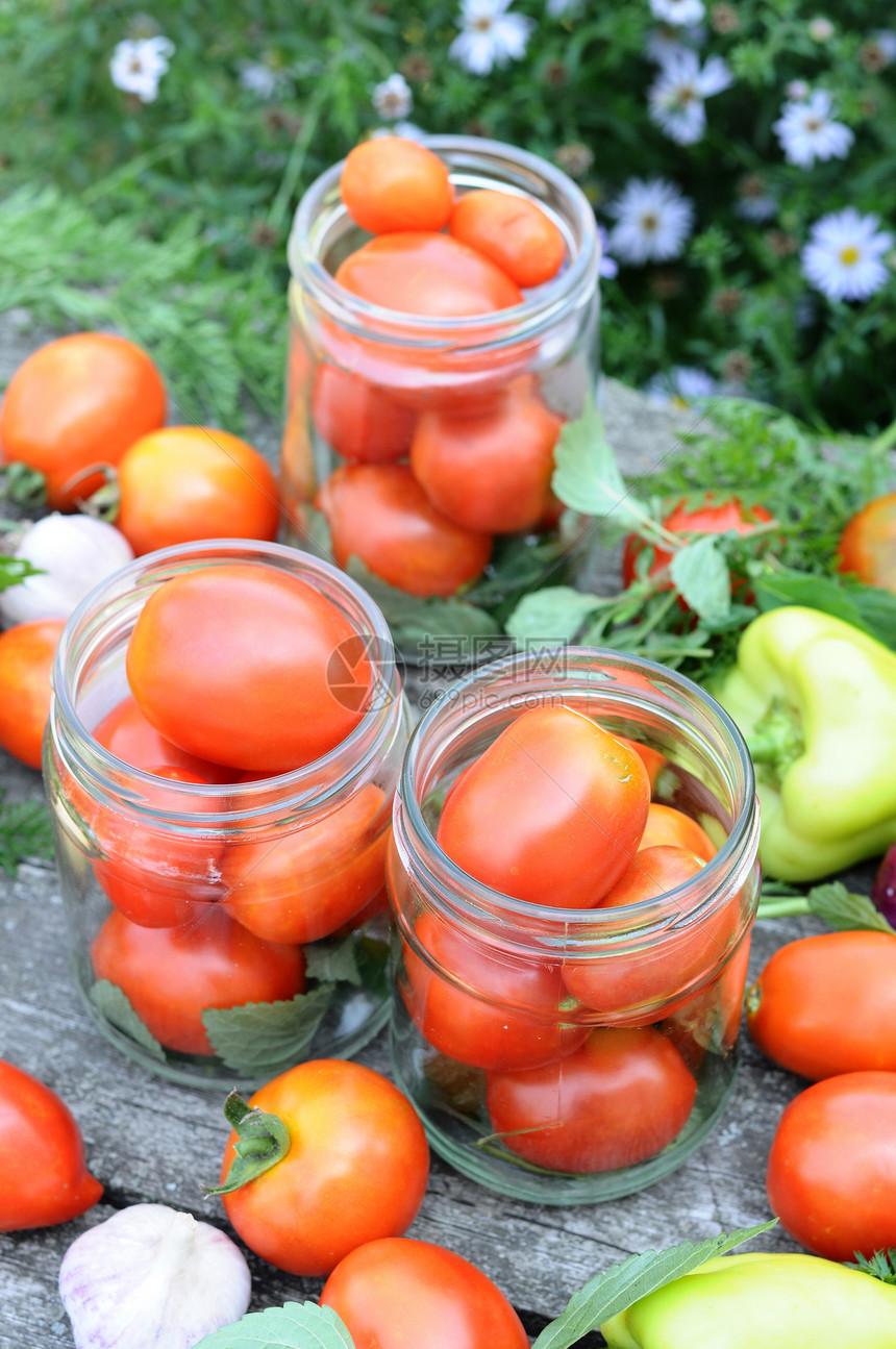 在家里煮番茄香料罐头胡椒茴香草本植物饮食农场晴天生长烹饪图片