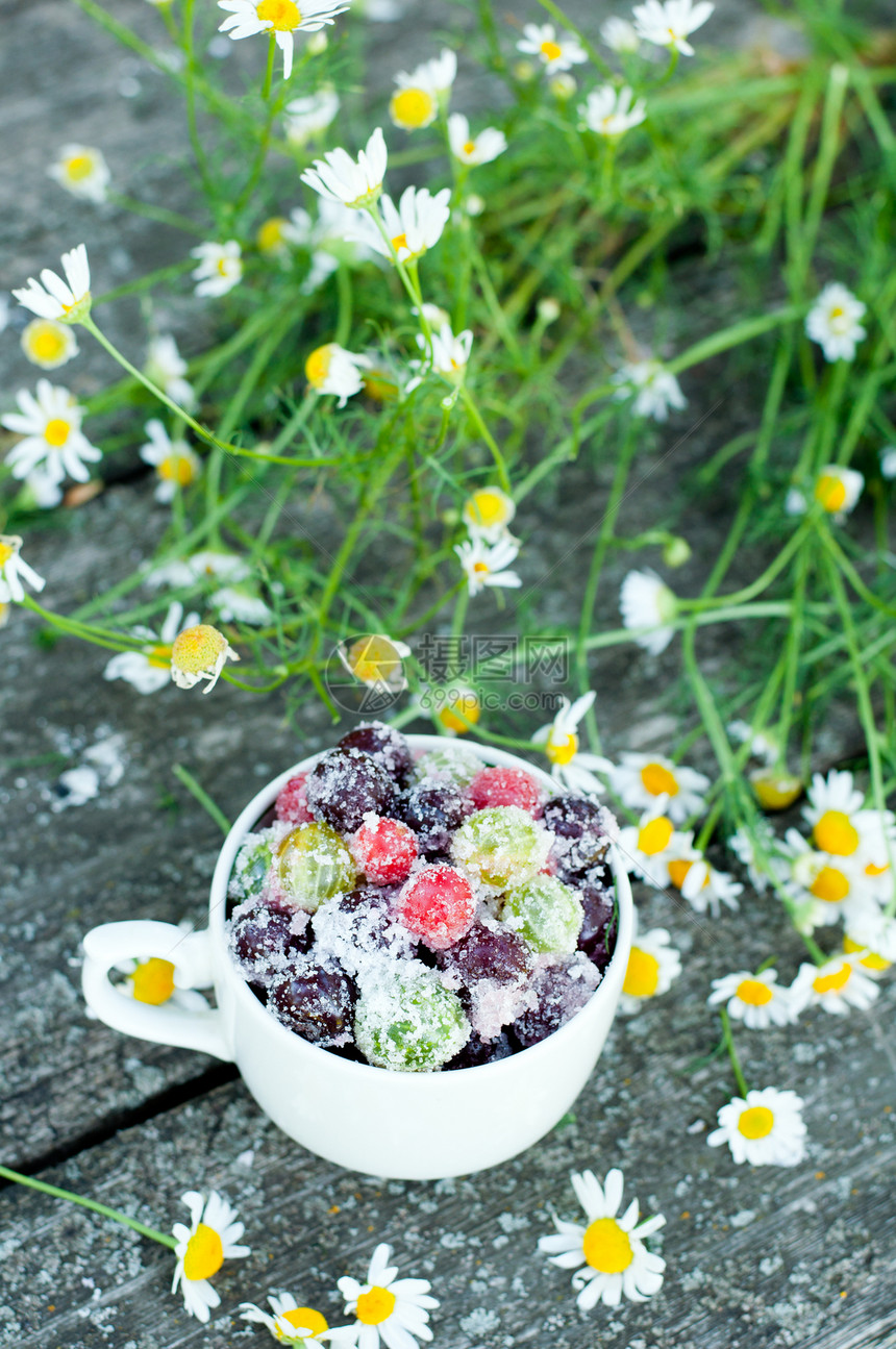 在碗里煮水果白色食物醋栗杯子维生素空气洋甘菊花朵甜点收成图片