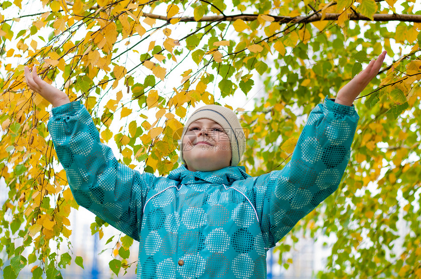 秋天 一个男孩在树林里假期青年森林金子树木孩子公园游戏桦木木头图片