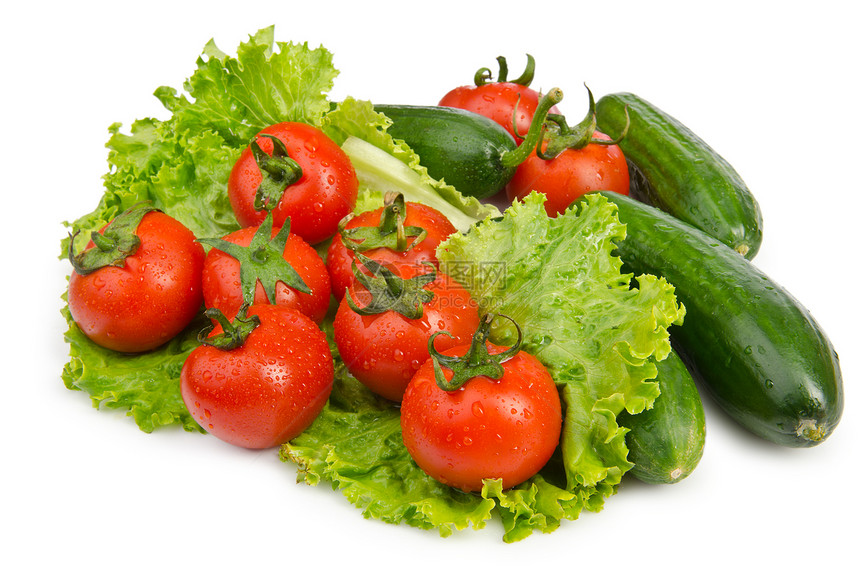 黄瓜和西红柿准备吃沙拉团体茶点蔬菜白色盘子绿色烹饪饮食红色感恩图片
