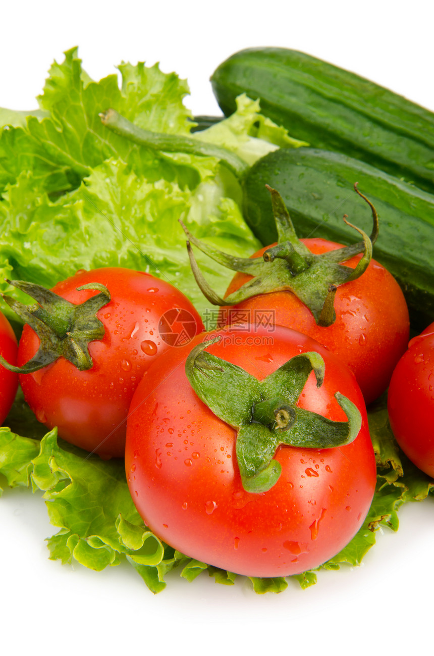 黄瓜和西红柿准备吃沙拉烹饪绿色红色团体感恩盘子饮食茶点生产白色图片